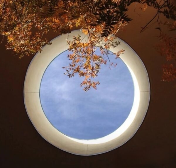 Round Fixed Skylight